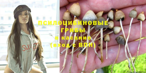 крисы Абинск