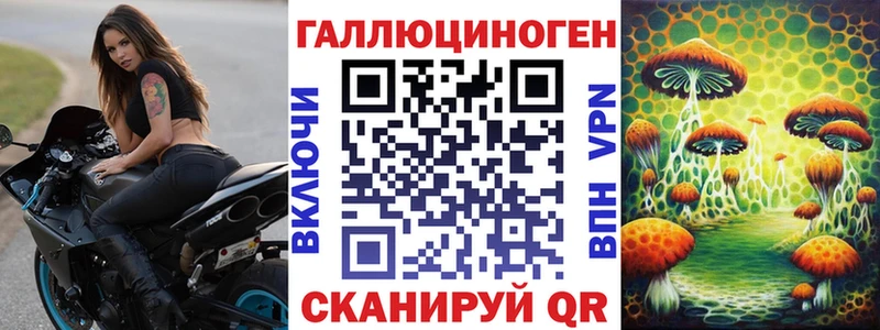 купить наркотики сайты  blacksprut ссылки  Псилоцибиновые грибы прущие грибы  Берёзовка 